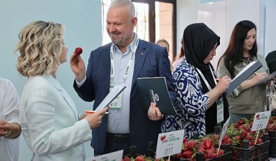 Emiralem Çilek Festivali rekor kırdı: milyonu geçti!