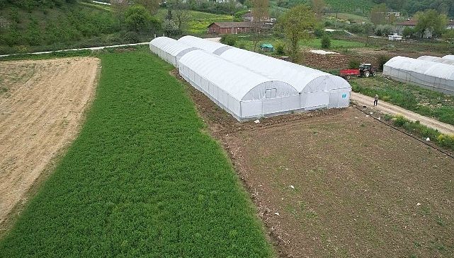 Kocaeli’nde tarım büyüyor, seracılık gelişiyor