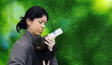 ‘Tampa’nın Sırları: Vahşi Taraf’, 5 Mayıs Pazartesi Günü 20.00’de National Geographic WILD Ekranlarında!